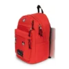 DAY PAK'R PRO MICKEY-PATCH